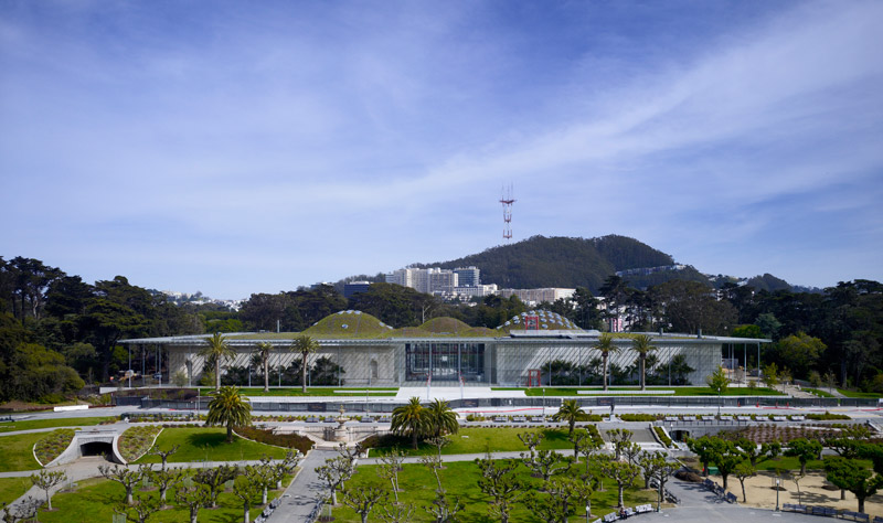 California Academy of Sciences, San Francisco