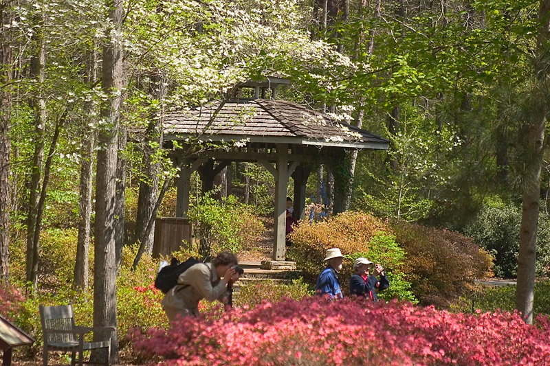 Callaway Gardens, Georgia