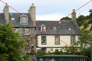 Calton Hill Houses