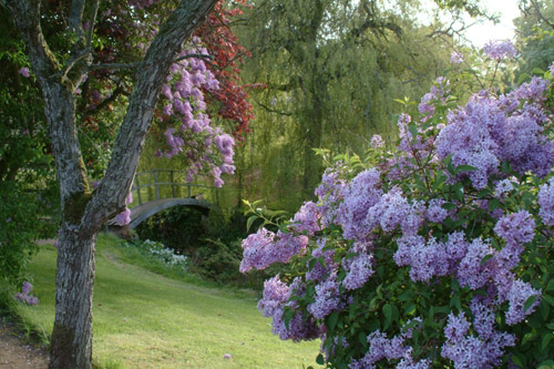 Cambo Gardens, Scotland