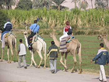 Camel Ride