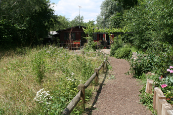Camley Street Natural Park