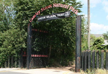 Camley Street Natural Park