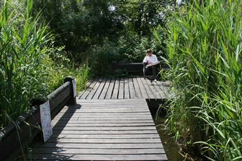 Camley Street Natural Park