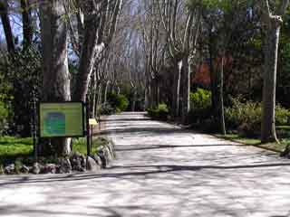 Campo del moro2