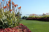 Garden at Niagara Falls, Canada