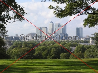 Canary Wharf View