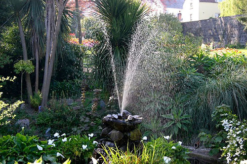 Candie Gardens, Channel Islands