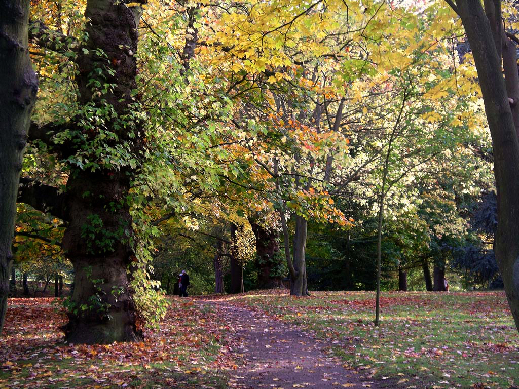 Cannizaro Park wimbledonian