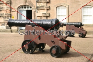 Cannon