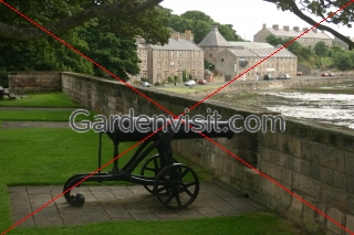 Cannon Berwick