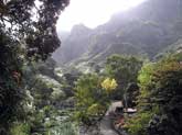 Houses with Gardens on the Cape Verde Islands