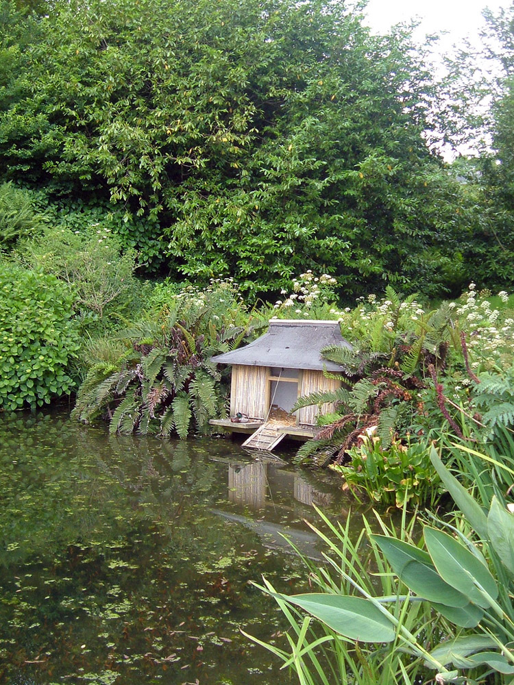 Pond, Carwinion Gardens