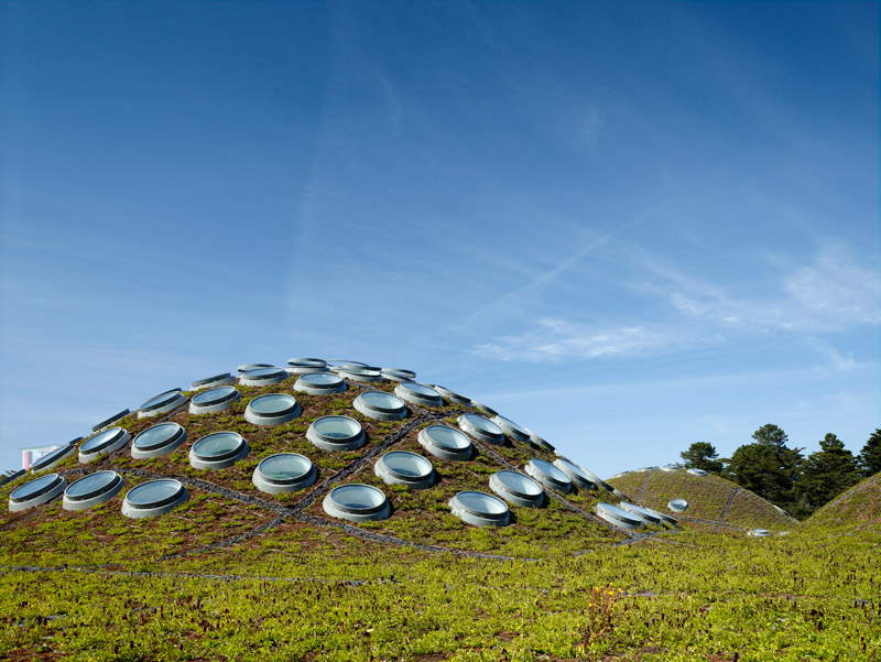 Living Roof, California Academy of Sciences