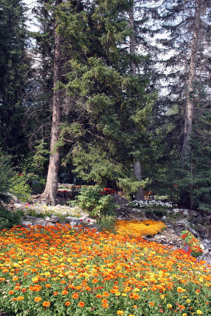 Cascade Gardens, Alberta