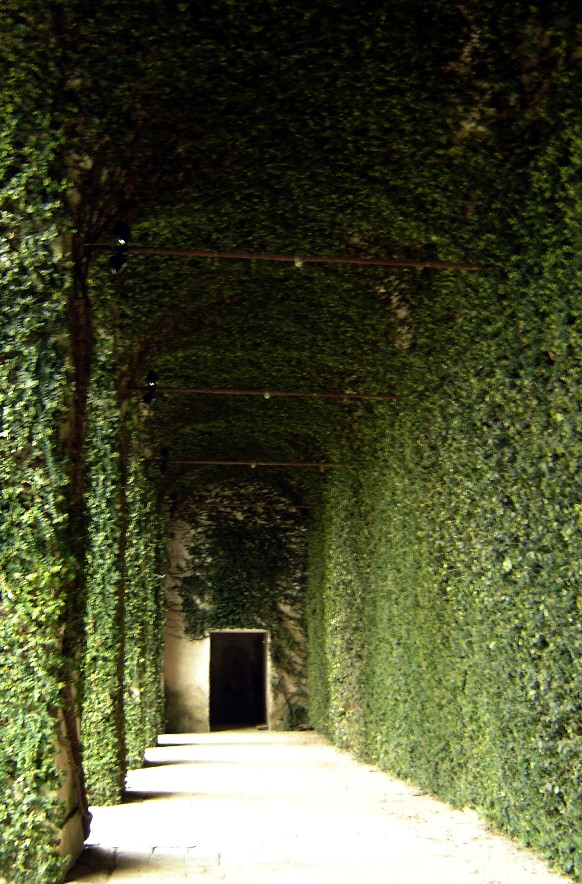 Castello di Aglie