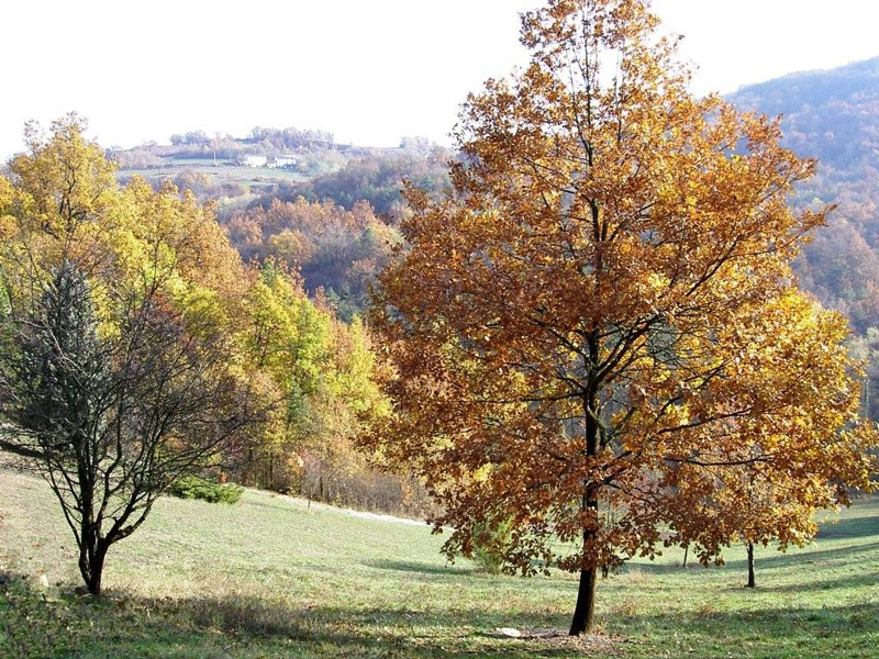 Castello di Gropparello, Emilia-Romagna