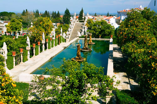 Pool, Castelo Branco