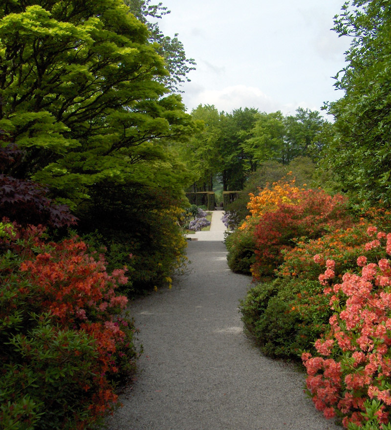 Castle Drogo Garden, Devon