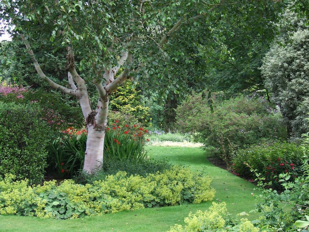 Castle Kennedy and Lochinch Gardens playthecatgame
