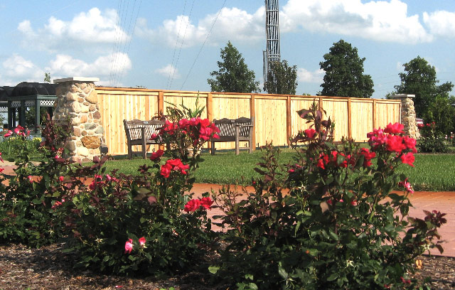 Fence, Cedar Valley