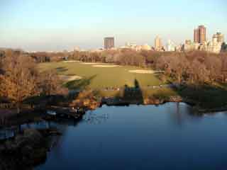 Central park1