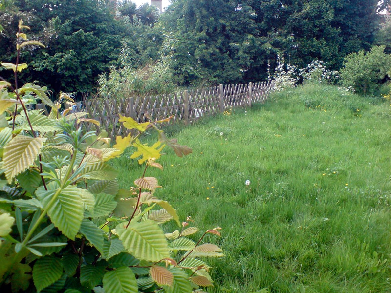 Centre for Wildlife Gardening, Peckham