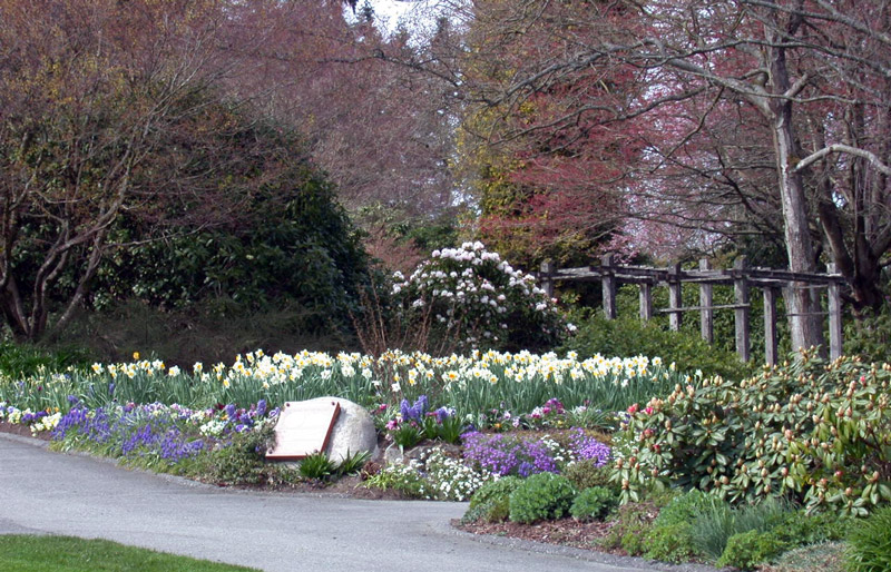 Century Gardens in Spring