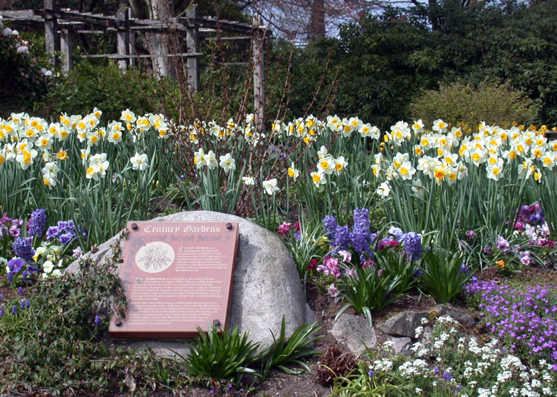 Century Gardens