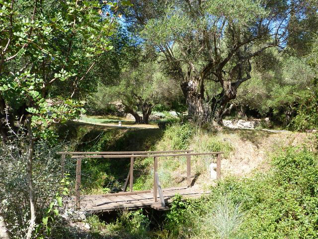 Cephalonia Botanica