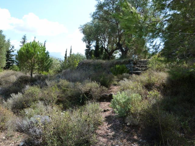 Cephalonia Botanica, Argostoli