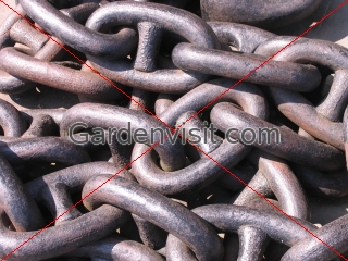 Chain