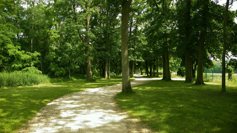 Chateau de Chamarande, May