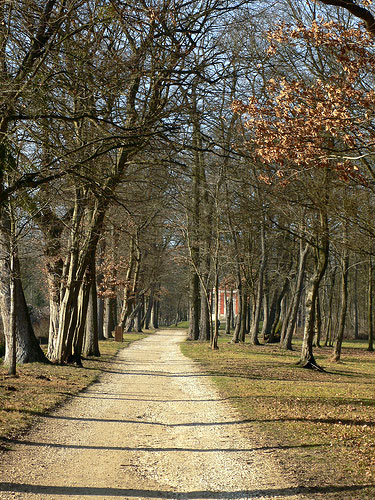 Chateau de Chamarande in January 2008