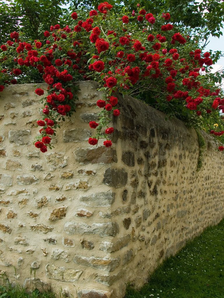 Chateau de Chamarande, Essonne
