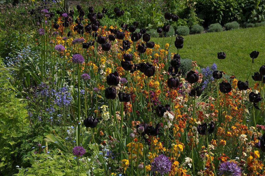 Planting at Charleston Farmhouse Garden