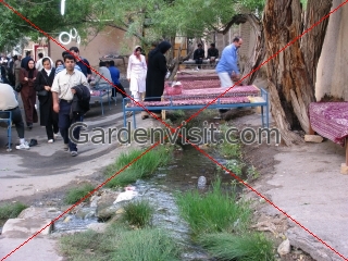 Charpoi Iran