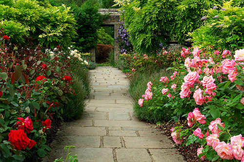 Chartwell Garden, Kent