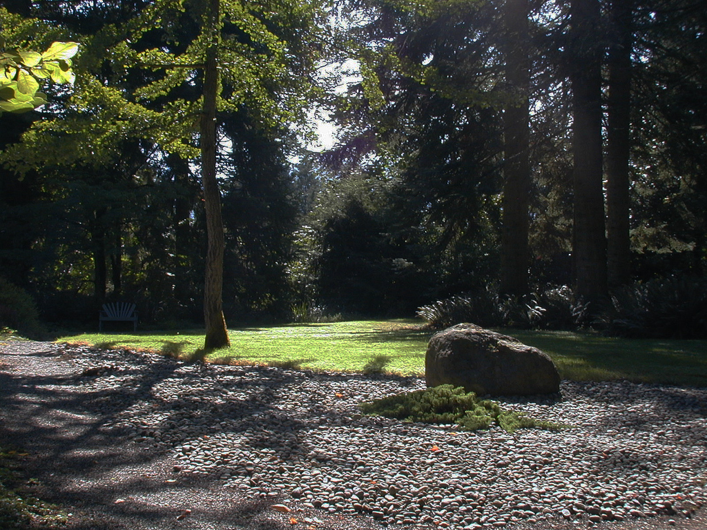 Chase Garden Daphne Stannard