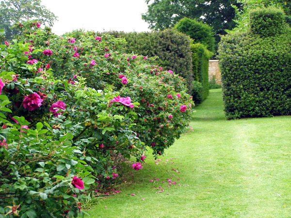 Chastleton House Garden, Oxfordshire