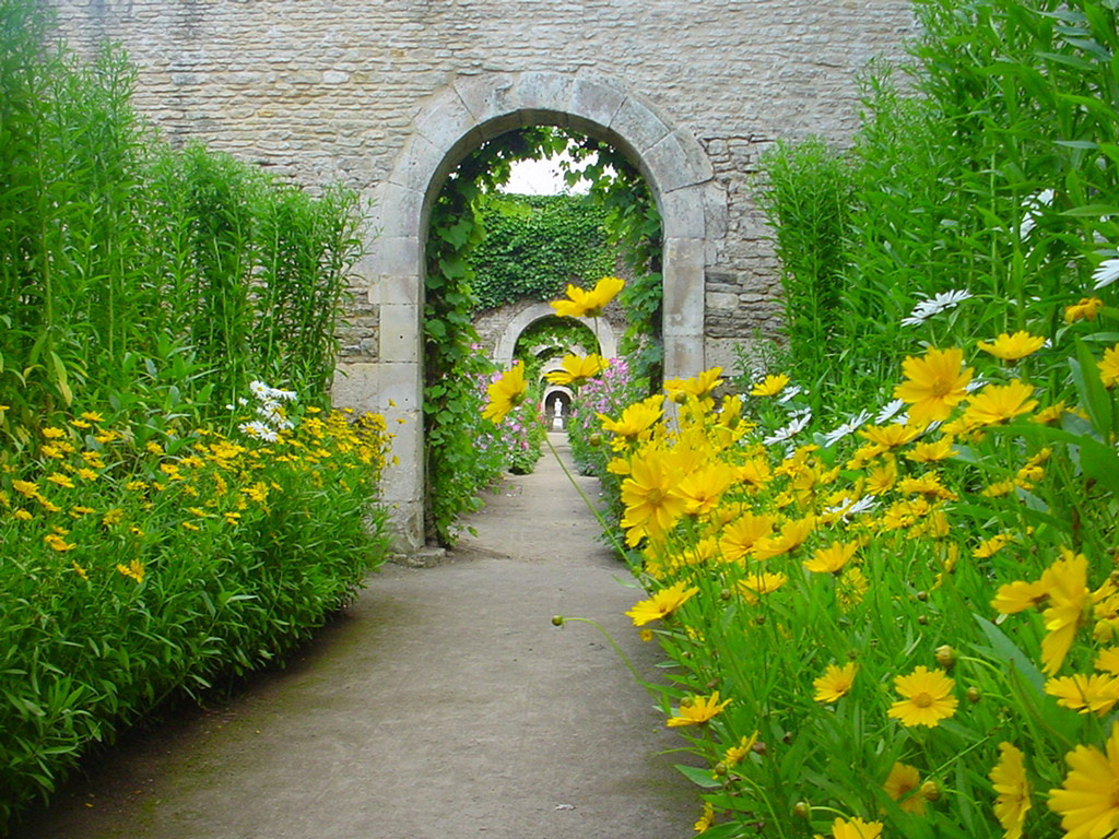 Chateau de Canon, France
