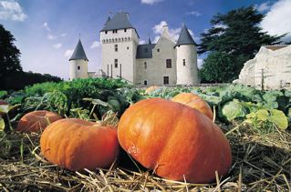 Chateau du Rivau