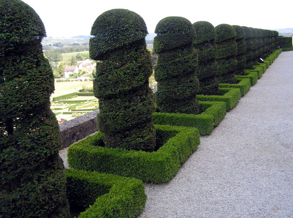 Yew Topiary at Chateau de Hautefort