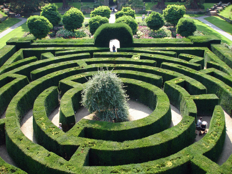 Maze, Chatsworth Garden