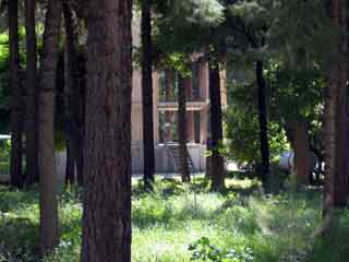 Chehel sotun garden2