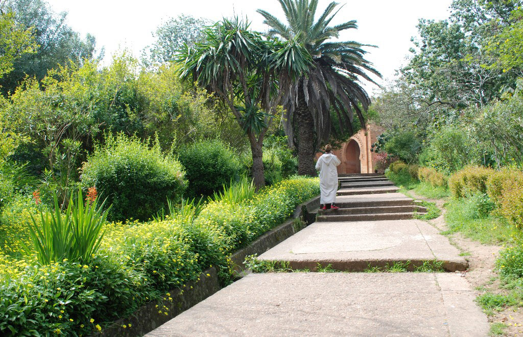 Chellah Garden, 2009