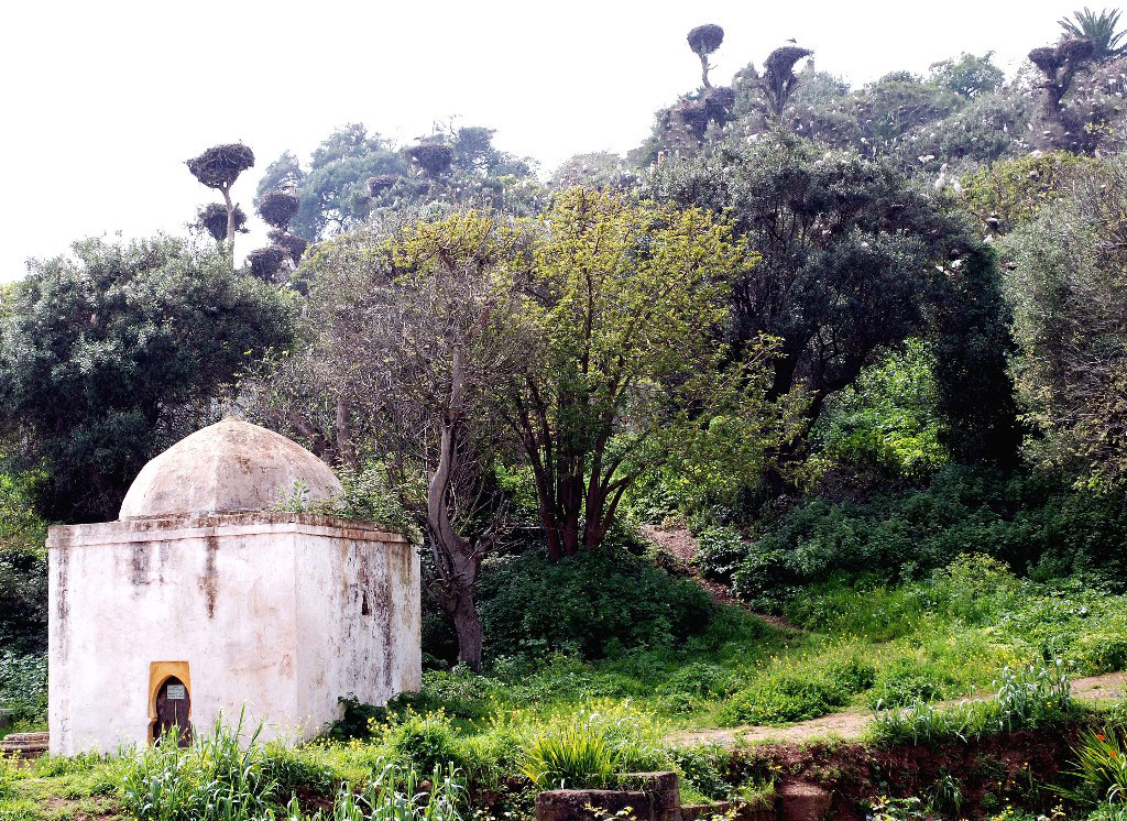 Chellah Garden, Morocco