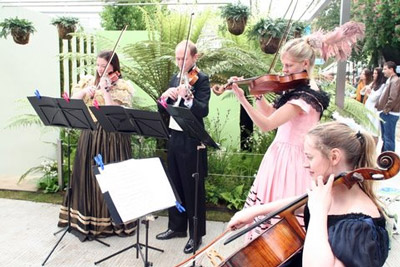 Musicians by Tempest in a Teapot