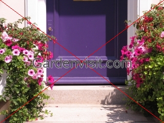 Chelsea Doorway