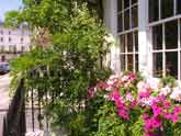 Chelsea house with window box